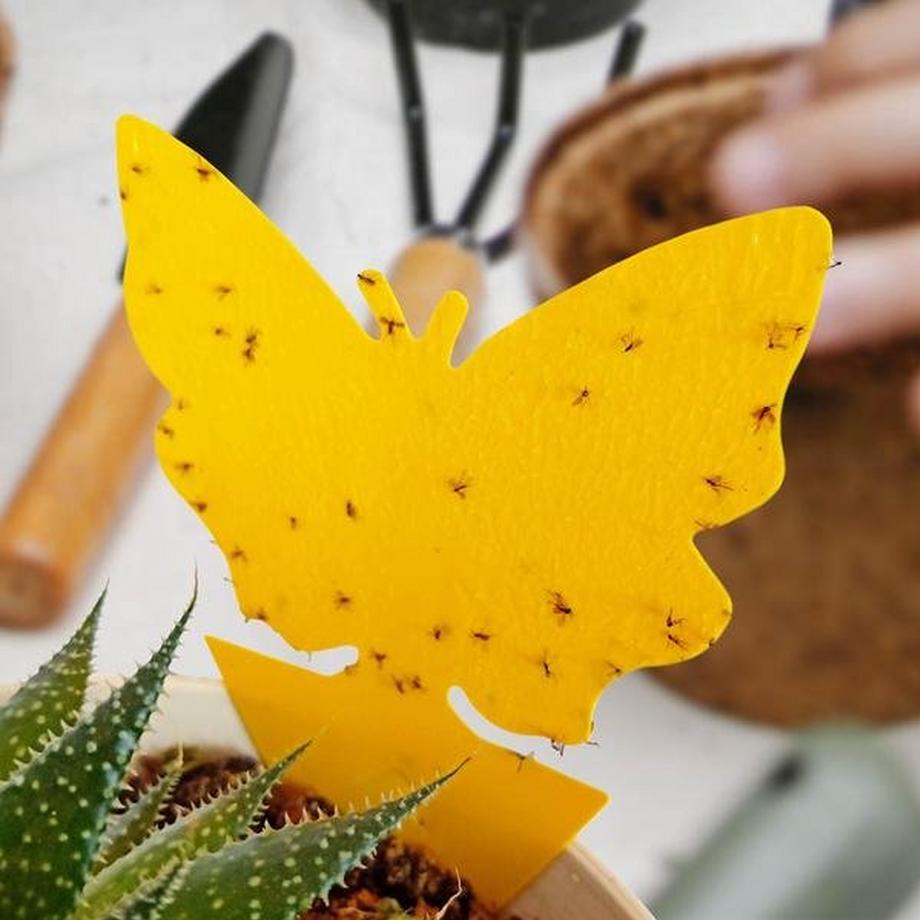 eStore  12x Insektenfallen für Pflanzen 