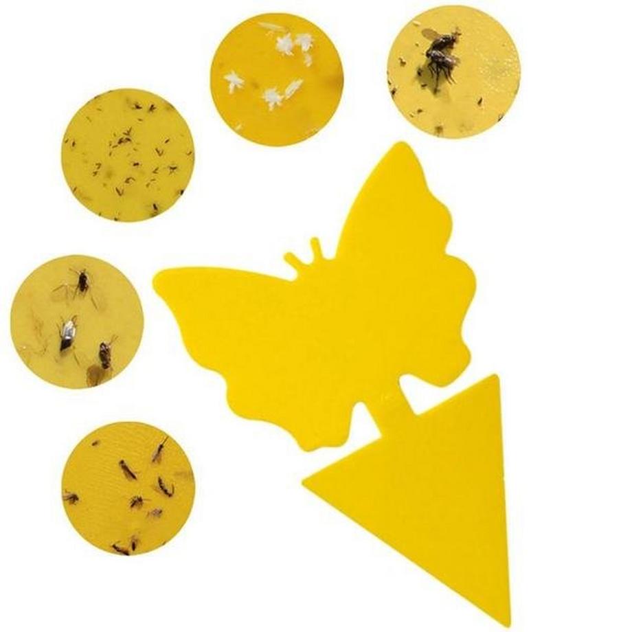 eStore  12x Insektenfallen für Pflanzen 