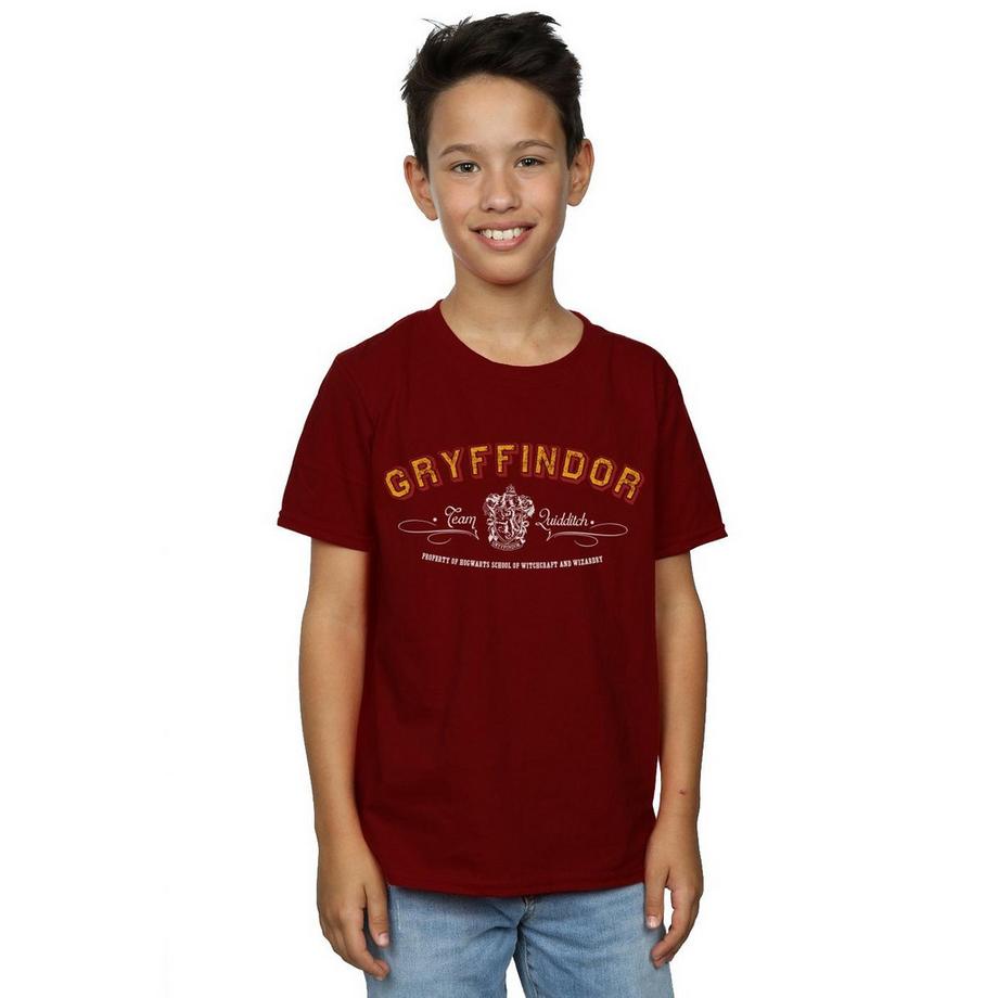 Harry Potter  Tshirt GRYFFINDOR QUIDDITCH 