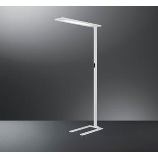 Hansa Floor Lamp LED Topas  