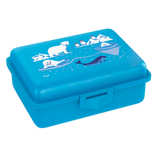 fizzy Fizzii Lunchbox mit Trennfach cyan, Eiswelt  