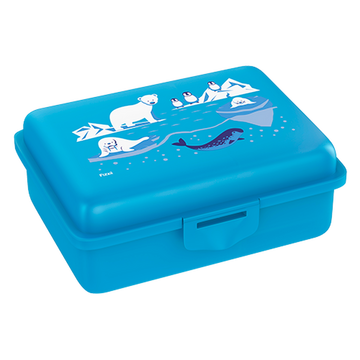 Fizzii Lunchbox mit Trennfach cyan, Eiswelt