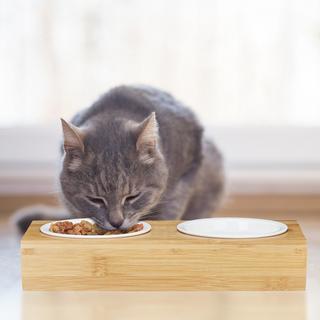 Northix  Stazione di alimentazione con ciotole in ceramica 