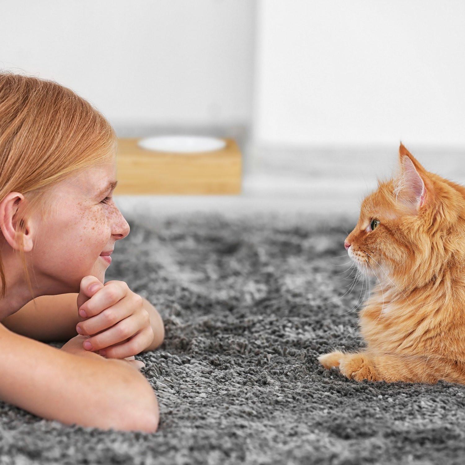 Northix  Stazione di alimentazione con ciotole in ceramica 