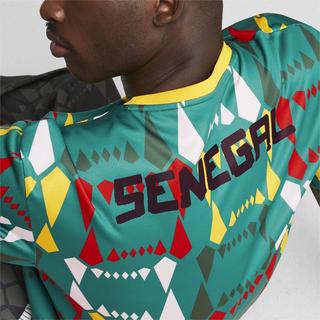 PUMA  T-Shirt Senegal 2023 