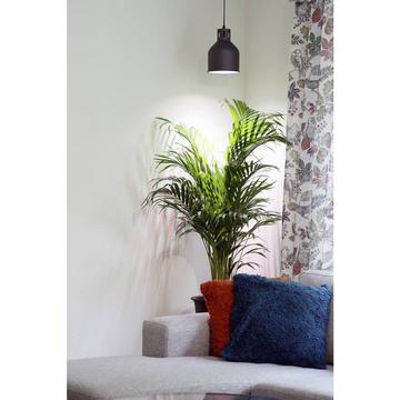 Lampenschirm Saga 22 cm 230 V E27 18 W 1 St.