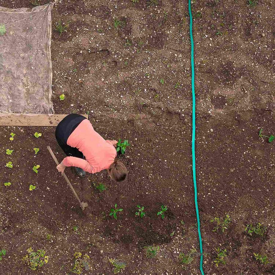 B2X  Flacher Bewässerungsschlauch 5 m 