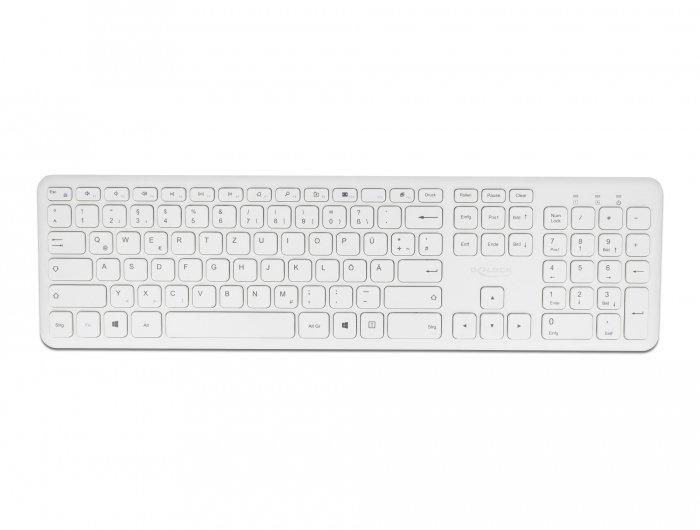 DeLock  12703 Tastatur Maus enthalten RF Wireless QZERTY Deutsch Weiß 