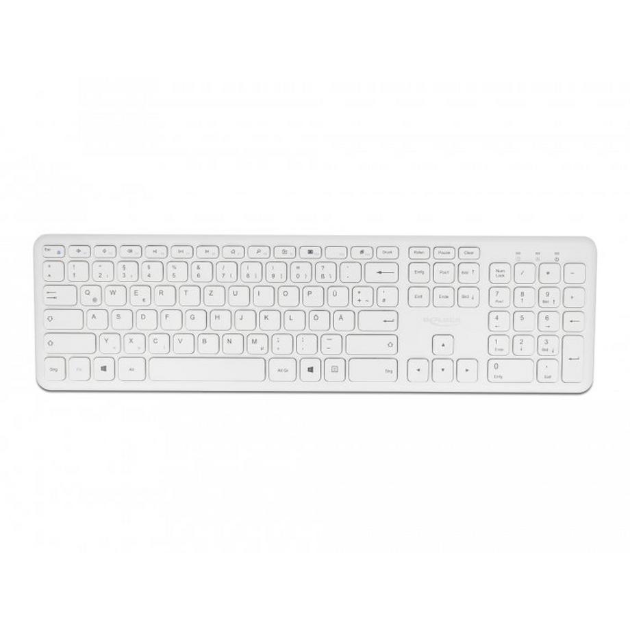 DeLock  USB Tastatur und Maus Set 2,4 GHz kabellos weiß 