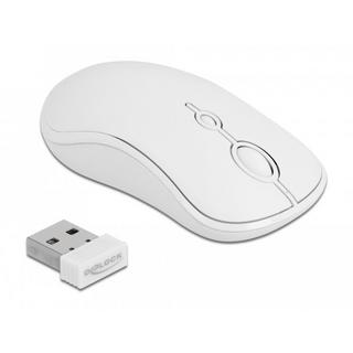 DeLock  12703 clavier Souris incluse RF sans fil QZERTY Allemand Blanc 