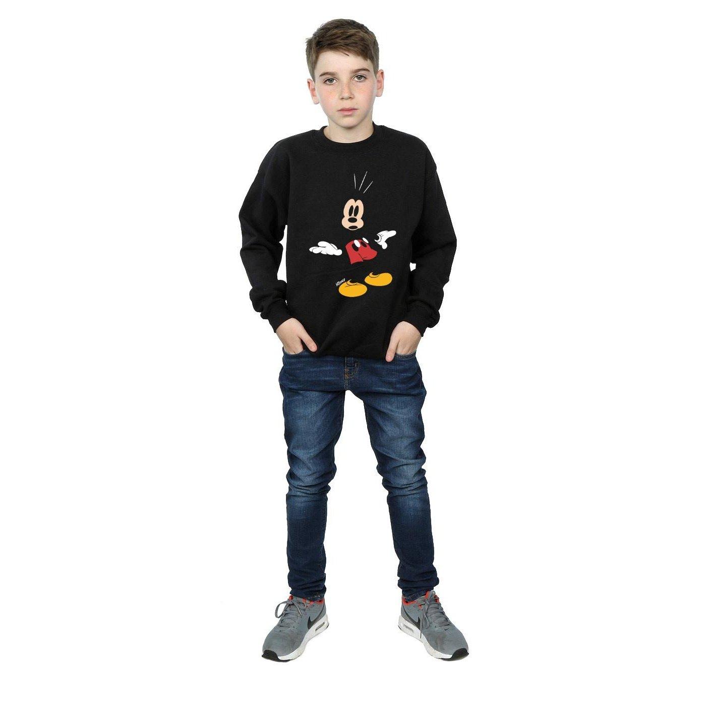 Disney  Sweatshirt 