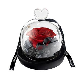 eStore Kleine Rose im Glasglocke - Rot  