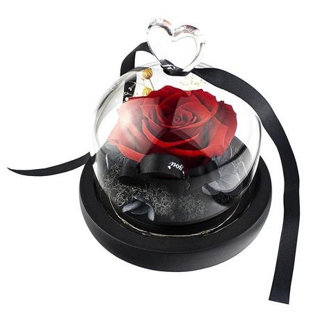 eStore Kleine Rose im Glasglocke - Rot  