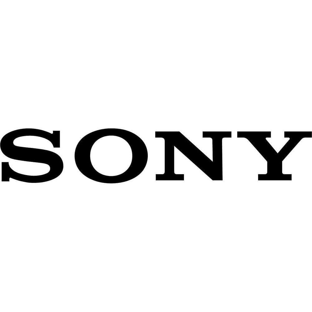 SONY  Sony RM-VPR1 