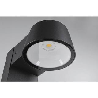 Paulmann Borne d'éclairage LED Capea conforme aux insectes IP44 500 mm 2200K 6 W 450 lm 230V 98° aluminium  