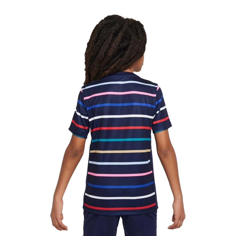 NIKE  Maillot De Foot Entraînement Motiftyle Fédération Française De Football Academy Pro 