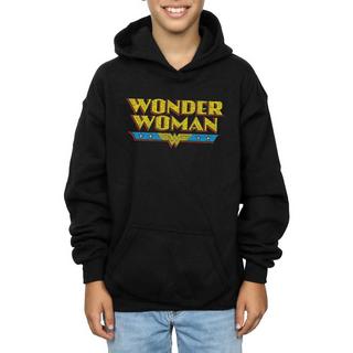 DC COMICS  Kapuzenpullover 