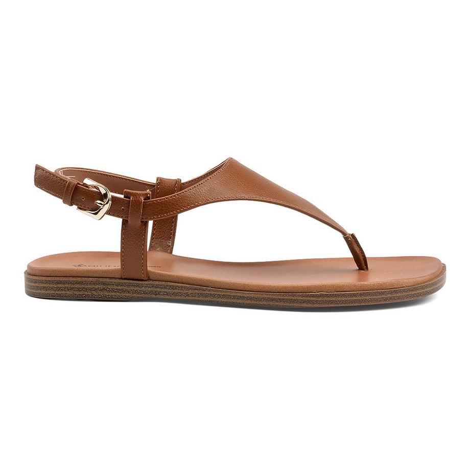 Call it Spring  TUCSON 