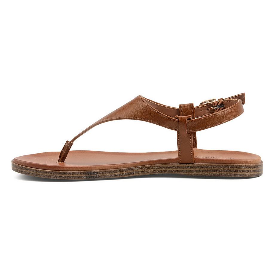 Call it Spring  TUCSON 