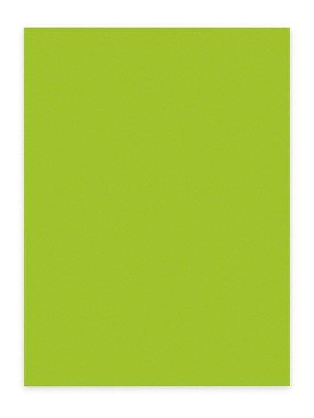 elco ELCO Office Color Papier A4 74616.62 80g, grün 100 Blatt  