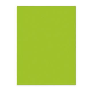 elco ELCO Office Color Papier A4 74616.62 80g, grün 100 Blatt  