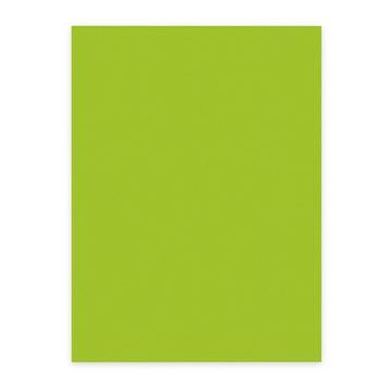 ELCO Office Color Papier A4 74616.62 80g, grün 100 Blatt