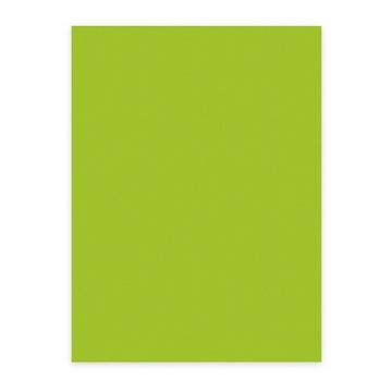 ELCO Office Color Papier A4 74616.62 80g, grün 100 Blatt