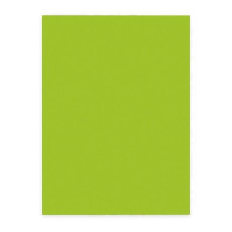 elco ELCO Office Color Papier A4 74616.62 80g, grün 100 Blatt  