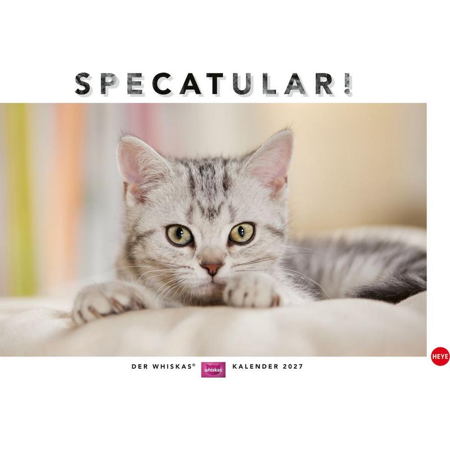 Bildkalender Whiskas Katzen
