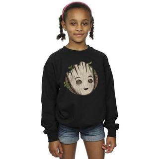 MARVEL  I Am Groot Sweatshirt 