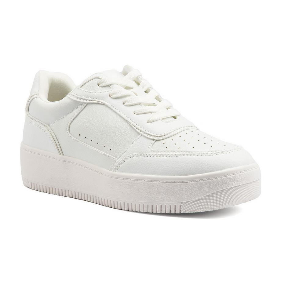 FRESHY-40