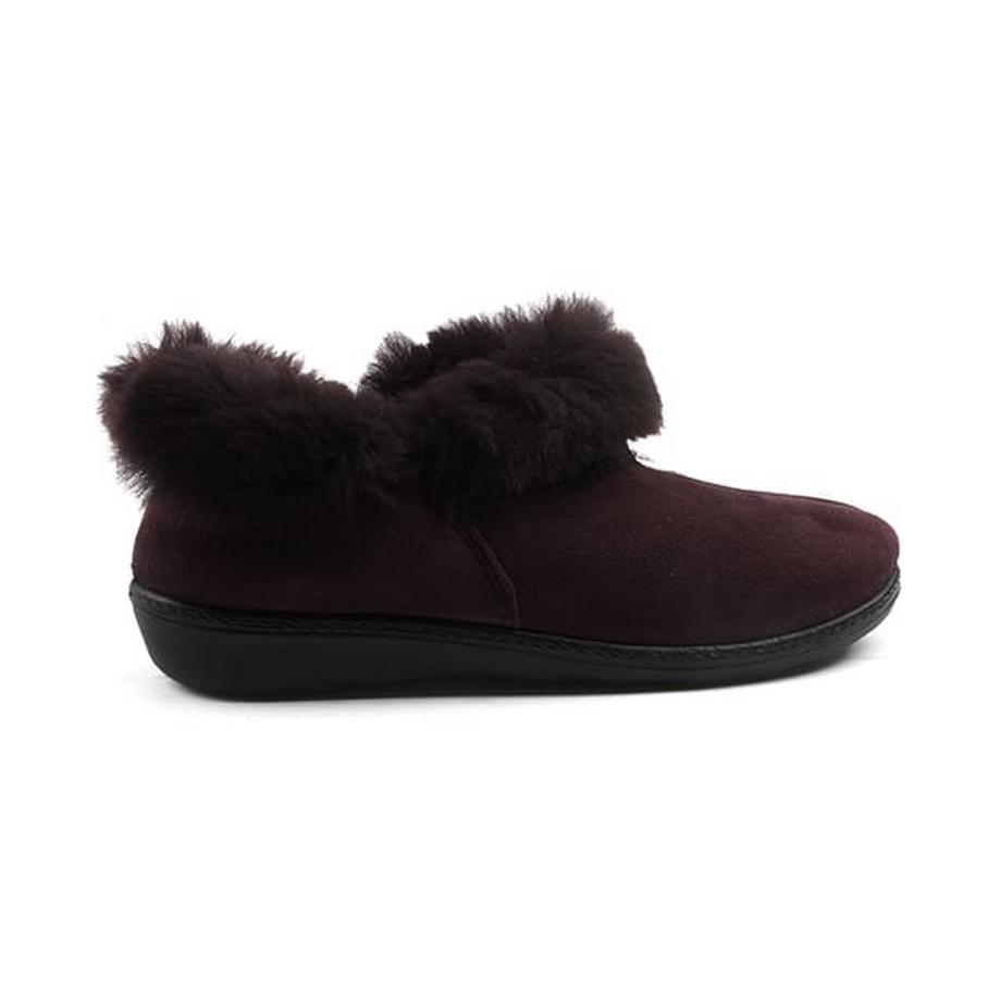 Westland  Avignon-36 