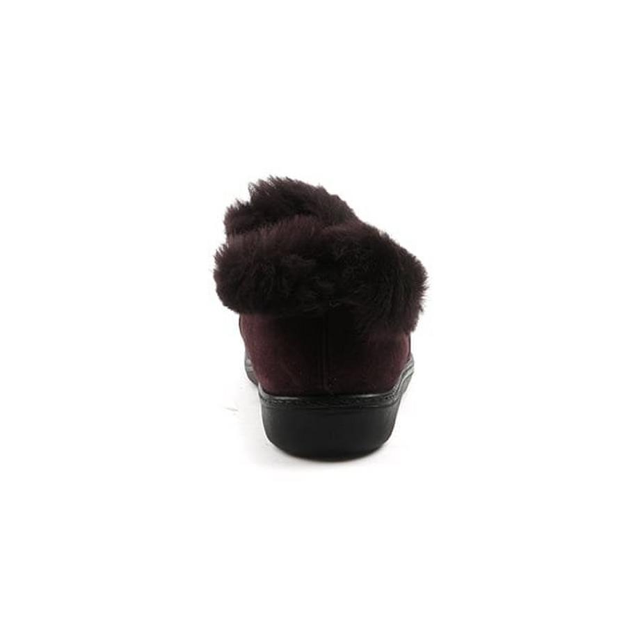 Westland  Avignon-36 