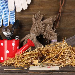 B2X Mausefalle Holzset 25-teilig  