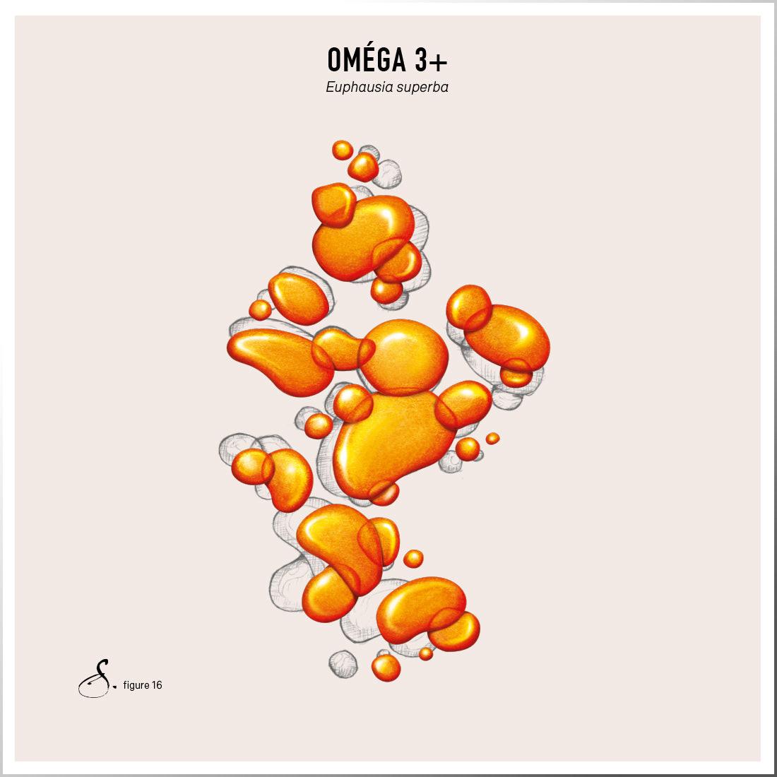 Sekoya Swiss  Omega 3+ | DHA & EPA 