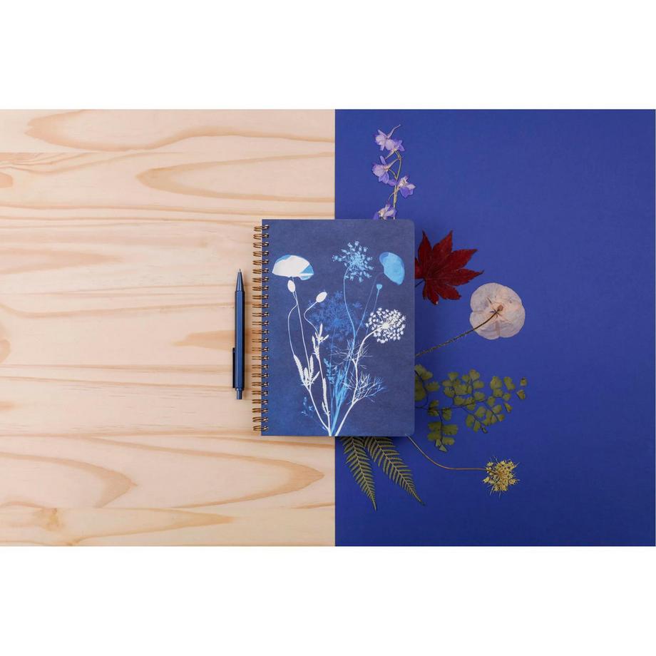 Clairefontaine Quaderno Cyanotype x4  