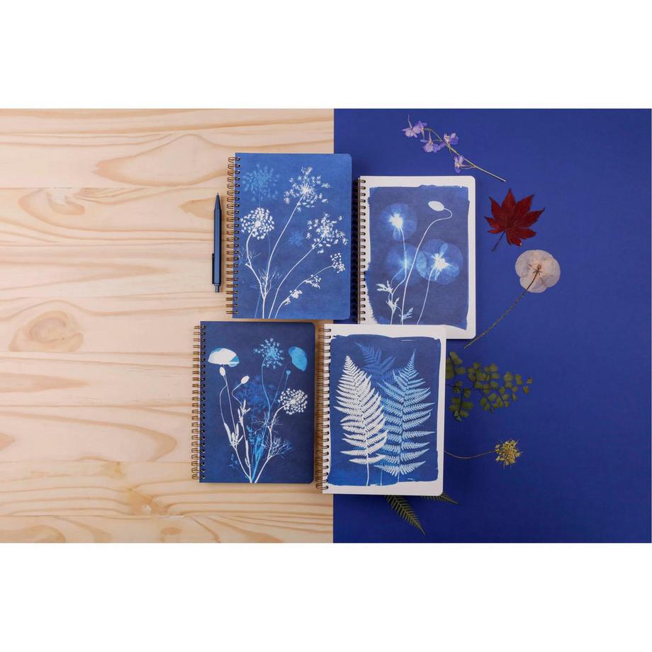 Clairefontaine Quaderno Cyanotype x4  