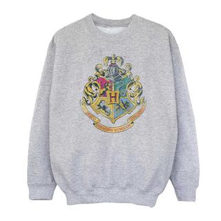 Harry Potter  Sweatshirt 