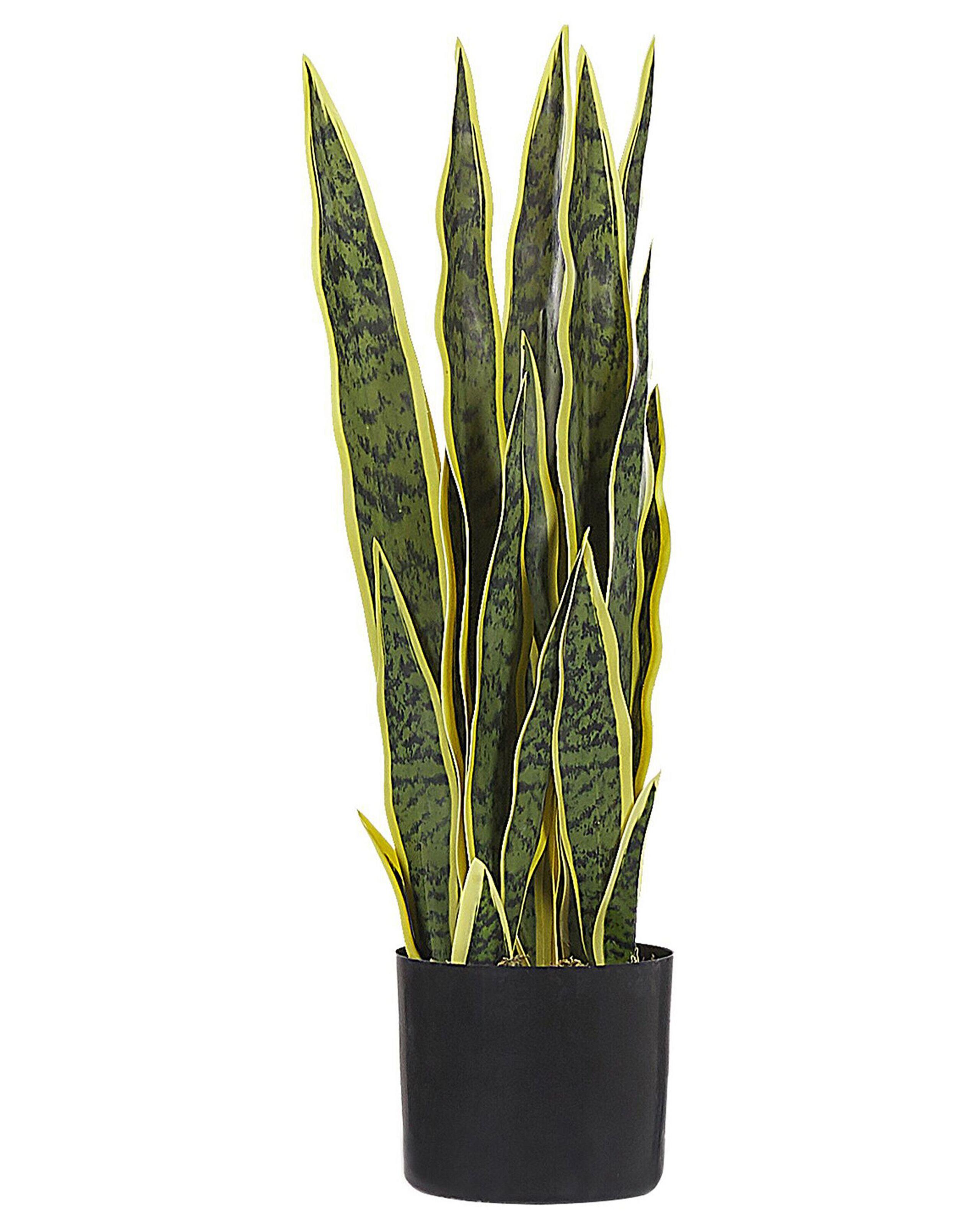 Image of Kunstpflanze aus Kunststoff SNAKE PLANT Kunstpflanze aus Kunststoff SNAKE PLANT