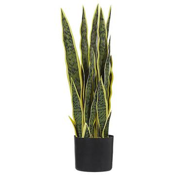 Kunstpflanze aus Kunststoff Modern SNAKE PLANT