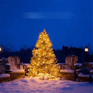 Cover-Discount 30m Lichterkette Mit 300 LEDs  