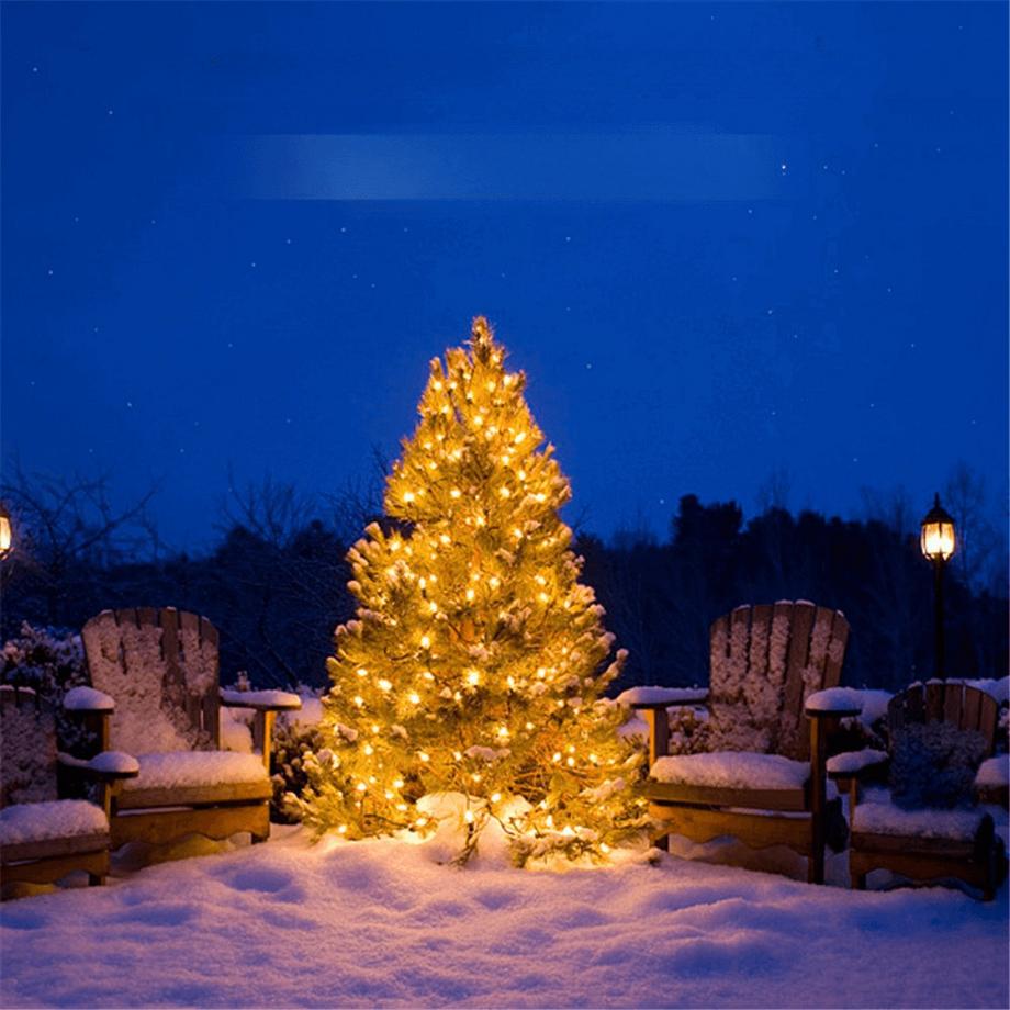 Cover-Discount 30M Catena Luminosa Con 300 Led  