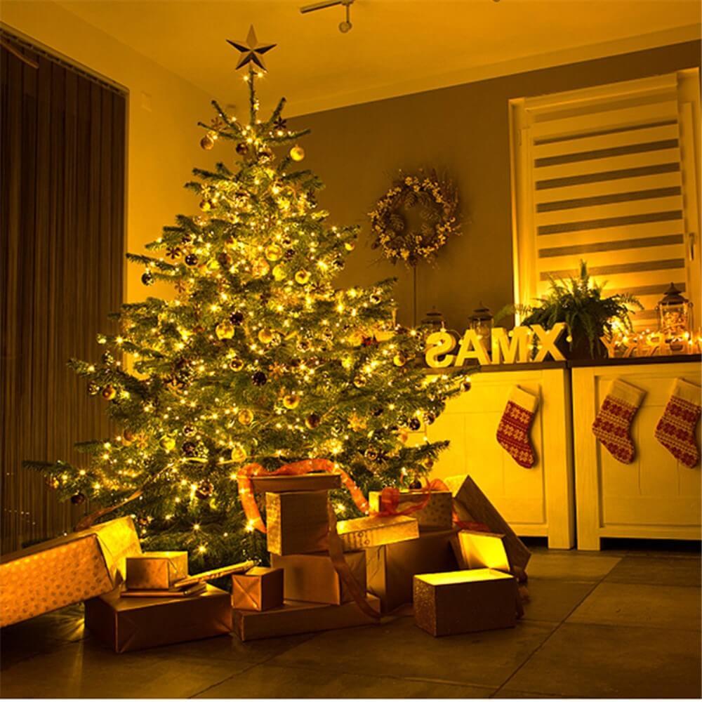 Cover-Discount 30m Lichterkette Mit 300 LEDs  