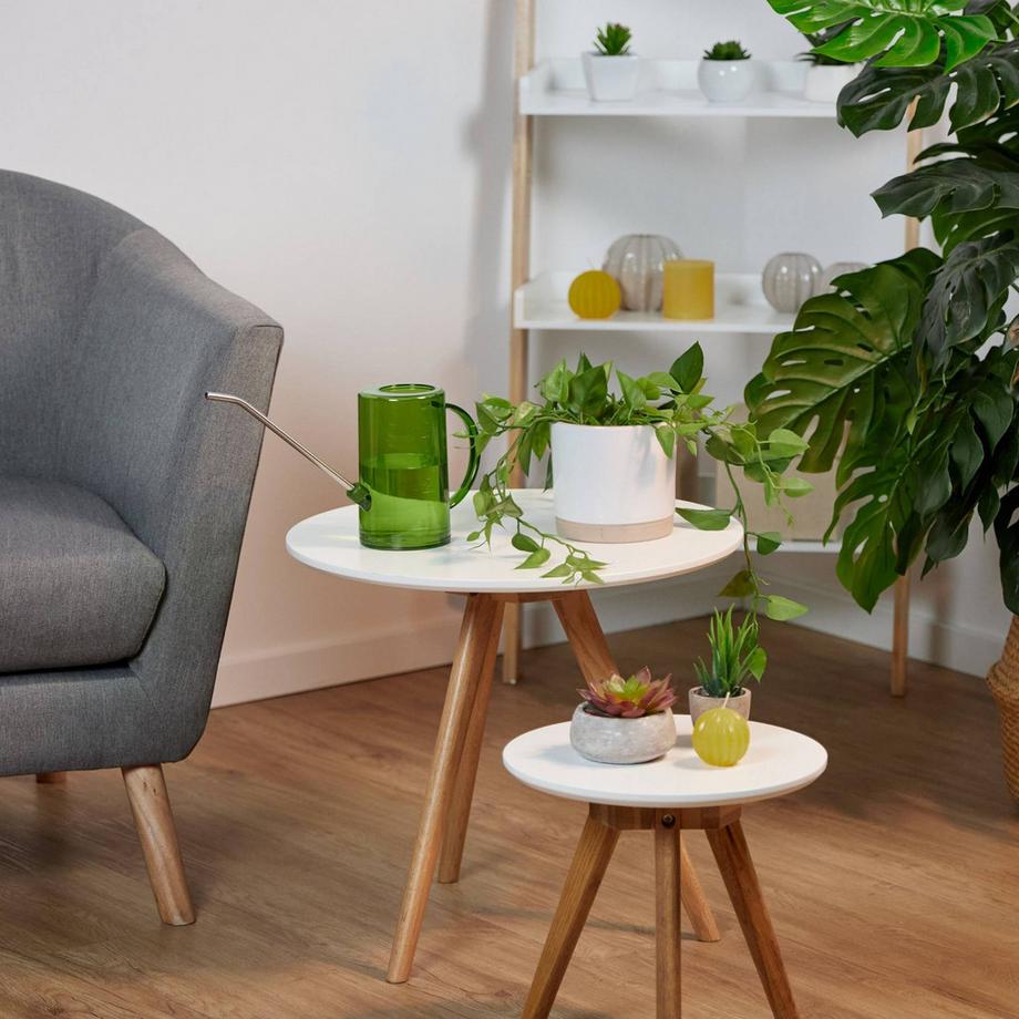 B2X  Gießkanne für Topfpflanzen 1 Liter 2er Set 