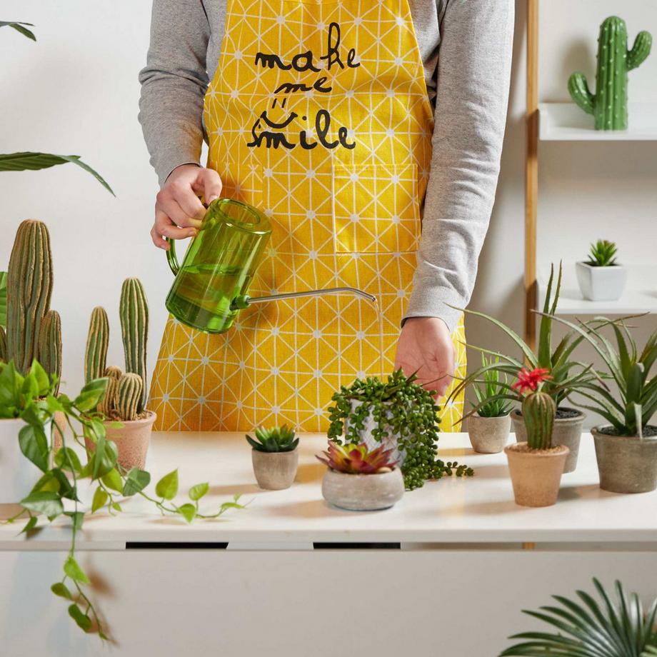 B2X  Gießkanne für Topfpflanzen 1 Liter 2er Set 