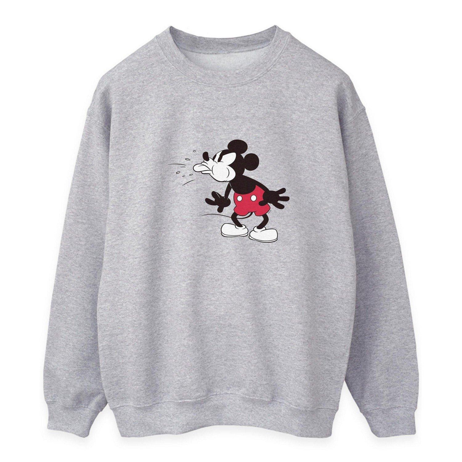 Disney  Sweatshirt 