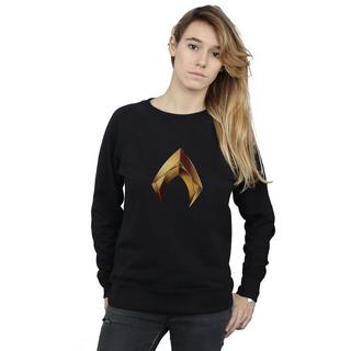 DC COMICS  Sweatshirt 