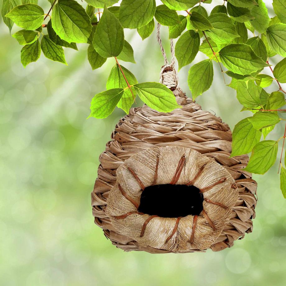 B2X  Nids d'oiseaux de différents modèles 