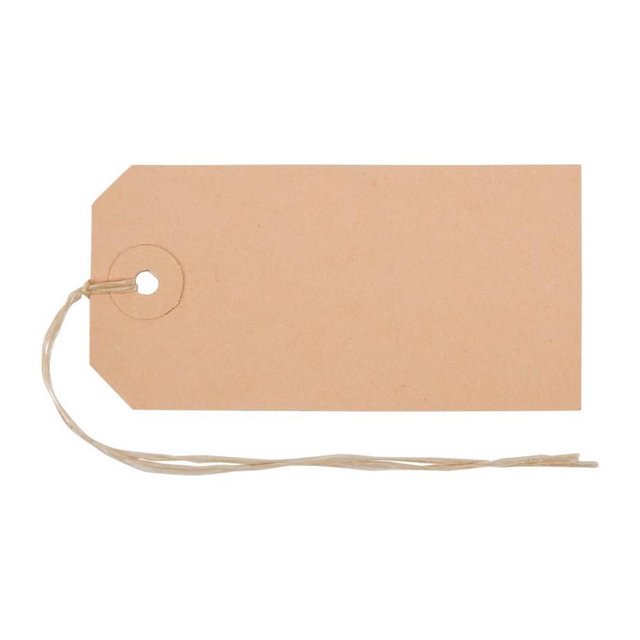 Anhänge-Etiketten 50x100 mm mit Bindfaden - x 20
