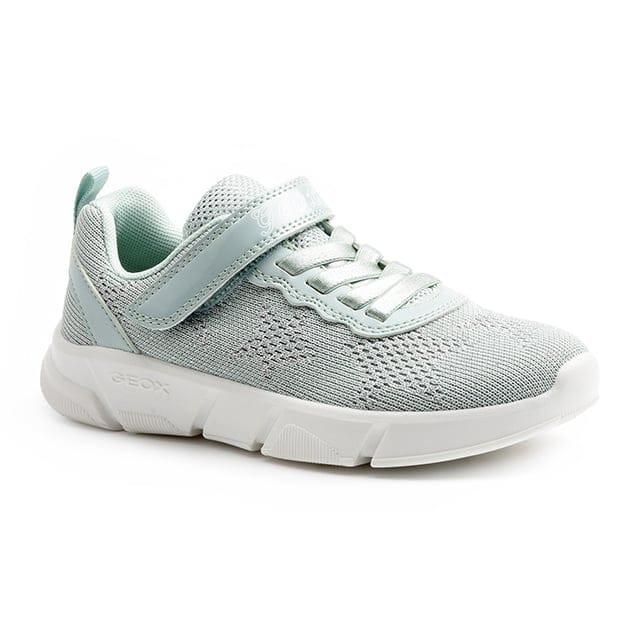 Image of Aril Unisex Grün 29